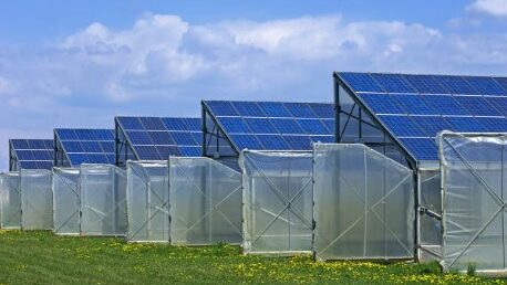 Cuatro invernaderos en línea cada uno con su propia instalación fotovoltaica, ilustran el texto de las ayudas para autoconsumo en invernaderos.